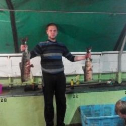 Парень ищет девушку для встречи и не только в Сургуте Парень ищет девушку для встречи и не только в Сургуте